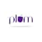 Plum Rice Water & 10% Niacinamide Face Serum (50 ml)
