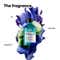 L'OREAL PROFESSIONNEL Scalp Advanced Anti-Oiliness Dermo-Purifier Shampoo (300 ml) for Oily Scalps