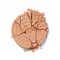 Daily Life Forever52 Academic Bronzer - FAC201 Golden Hour (21 g)