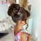 Majestique Cartoon Style Side Hair Comb Clips (3 pcs)