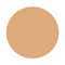 Shade No 310