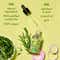 Love Beauty And Planet Onion and Rosemary Anti Hairfall Scalp Serum (50 ml)