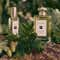 Jo Malone London English Oak & Hazelnut Cologne (30ml)