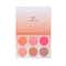 Europe Girl Blush Kit - Multi-Color (50g)