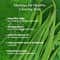 The Skin Story Soothing & Pore Minimizing Moringa Toner (100ml)