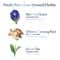 Sacred Grove Blue Pea Flower & Ginseng Root Shampoo (300 ml)