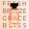 Giordano Spring Breeze Eau de Parfum (100 ml)
