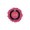Lakme Face It Blush - B2 Flushed Pink (4 g)
