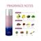 AJMAL Nightingale & Distraction & Magnetize & Persuade Deo & Ascend Eau De Parfum (5Pc)