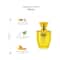 AJMAL Bombay Dreams Eau De Perfume (100ml)