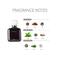AJMAL Kyros Eau De Parfum (110ml)