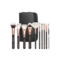 Allure Professional Top 10 Brush Set (10Pcs)