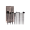 Allure Professional Makeup Brush Set with Makeup Brushes Bag - (10Pcs)