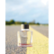 Antonio Banderas Power of Seduction Eau De Toilette (100ml)