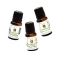 Anveya Aroma Essential Oil Gift Set (3Pcs)