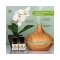 Anveya Aroma Essential Oil Gift Set (3Pcs)