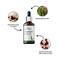 Aravi Organic Tea Tree & Rosemary Essential Oil Combo Pack (2Pcs)