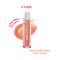 Etude Over Glowy Gloss - 03 Peach Sorbet (2.8 g)