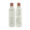 Aveda Rosemary Mint Shampoo and Conditioner Combo
