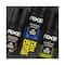 AXE Gold Temptation 48H Dual Action Technology Deodorant Body Spray For Men (150ml)