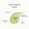 ANILLO Lime Sunday Refresh Shampoo Gentle Exfoliating and Clarifying Korean Shampoo (450 ml)