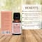 Bella Vita Belly Drops Ayurvedic Navel Oil (15ml)