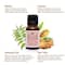 Bella Vita Belly Drops Ayurvedic Navel Oil (15ml)
