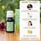 Bella Vita Basil Pure Essential Oil (15ml)