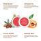 Bella Vita Peach 3 in 1 Tinty for Lips, Cheeks & Eyes (8gm)