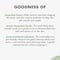 Beplain Greenful pH-Balanced Cleansing Foam (80ml)