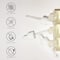 Beplain Multi Vitamin Ampoule (30ml)