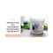 Berina Hair Treatment Spa Cream - (250g)