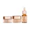 BiE - Beauty In Everything Anti Pigmentation Kit