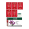Biotique Party Glow Facial Kit - (6 Pcs)