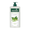 Biotique Bio Soya Protein Fresh Nourishing Shampoo - (650ml)