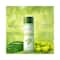 Biotique Fresh Neem Anti Dandruff Shampoo with Conditioner (190ml)