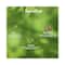 Biotique Fresh Neem Anti Dandruff Shampoo with Conditioner (190ml)
