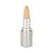 Bonjour Paris Oil-Free Concealer Cum Pan Stick - Nude Skin (4.2g)