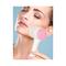 Bronson Professional Soft Bristles Face Cleansing Brush Set (2Pcs)