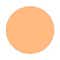 N 204 Neutral Tan
