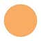N 206 Warm Tan