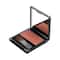 Chambor Luminous Blush - Dusty Rose 06 6 gm