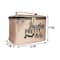 Colorbar Vanity Box - Rose Gold