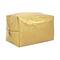 Colorbar Cosmic Pouch - Glam Gold