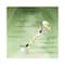 Colorbar Kosher Jade Facial Roller (12g)
