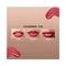 Colorbar Power Kiss Matte Transferproof Lip Color - 016 Charmer (5ml)