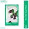 Innisfree Acai Berry Cream Energy Mask – Revives & Smooths Skin (22 ml)