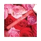 Daily Life Forever52 Velvet Rose Matte Lipstick RS003 (2.8gm)