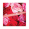 Daily Life Forever52 Velvet Rose Matte Lipstick RS009 (2.8gm)