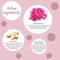 Dot & Key Hand Cream - Rose Geranium & Shea (50ml)
